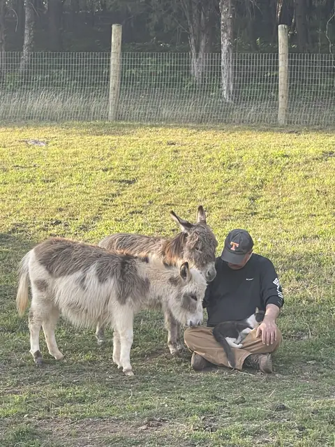 A man in a Tennessee cap sitting cross-legged in the pasture with a cat in his lap while two mini donkeys lean in close