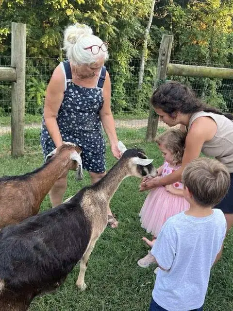 A woman and three young children meeting two goats along the fence line