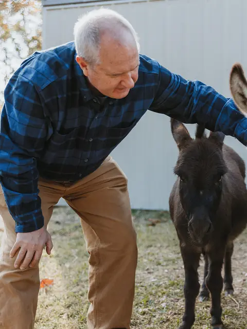 Lane leaning down to pet two mini donkeys, one dark brown and one gray and white, outside the barn