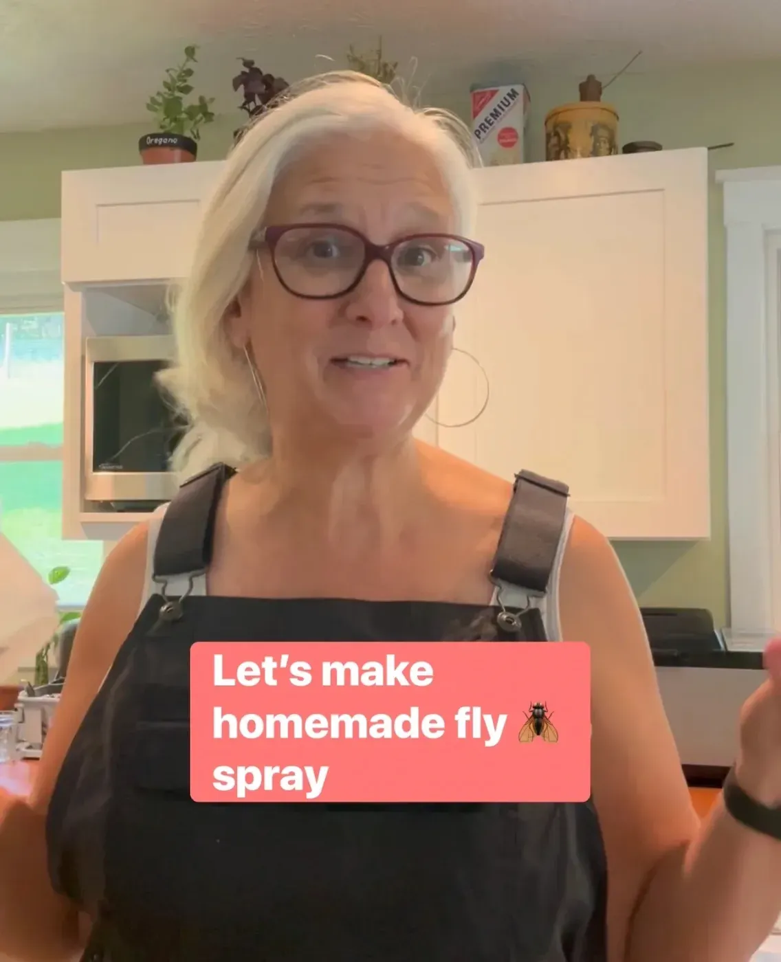 Jules Morris in overalls in the kitchen with text reading Let's make homemade fly spray