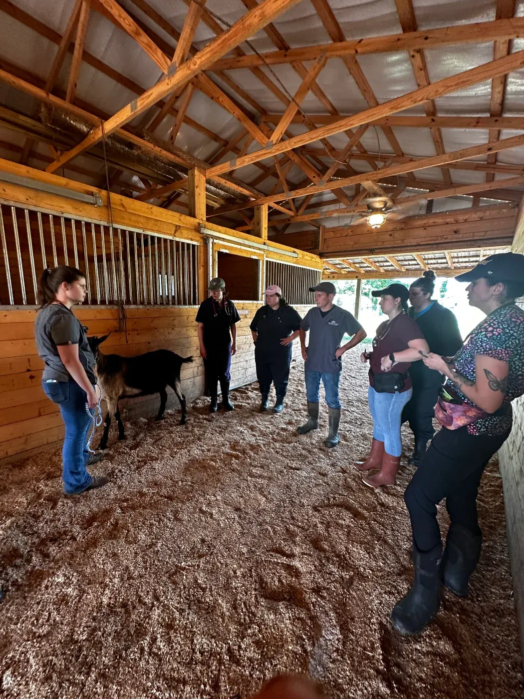 Veterinary students gathered around a goat inside the barn for a hands on lesson