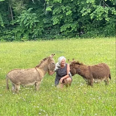 Jules Morris kneeling in the pasture surrounded by three mini donkeys