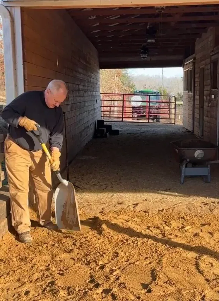 Lane Morris in work gloves leveling a fresh layer of sand down the barn aisle on a sunny winter morning