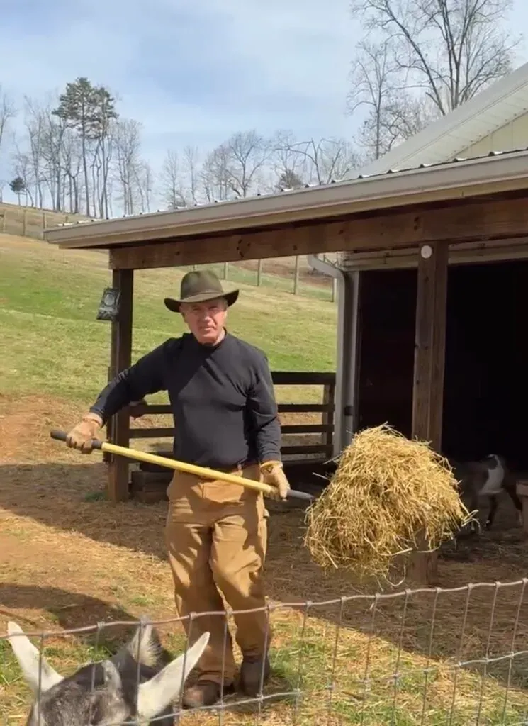 Lane Morris carrying a pitchfork loaded with hay outside the barn while donkeys and goats wait at the fence