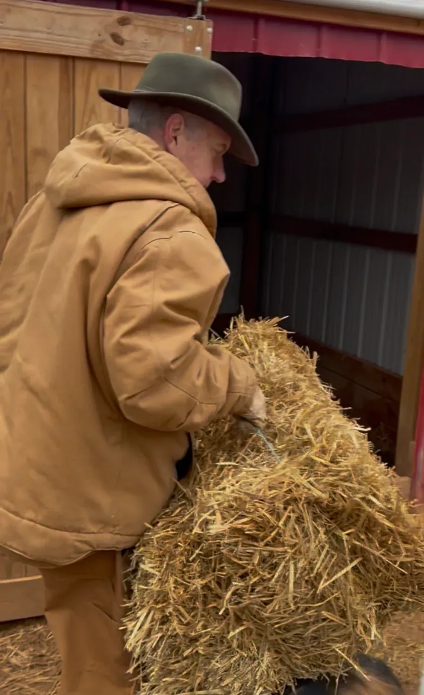Lane Morris in a canvas coat and felt hat opening a bale of straw inside the barn for fresh bedding