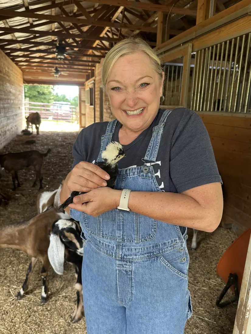 Jules in overalls in the barn aisle holding a black and white Polish hen while goats crowd in