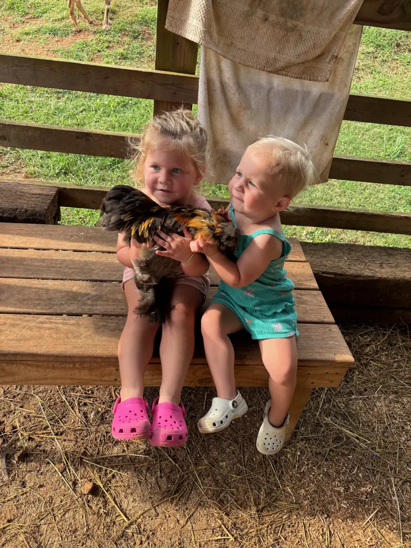 Two young visitors on a bench, one holding a hen