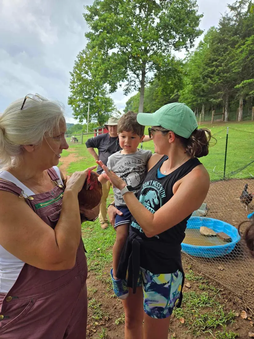 A visitor in overalls holding a barred hen while a toddler reaches out to touch it