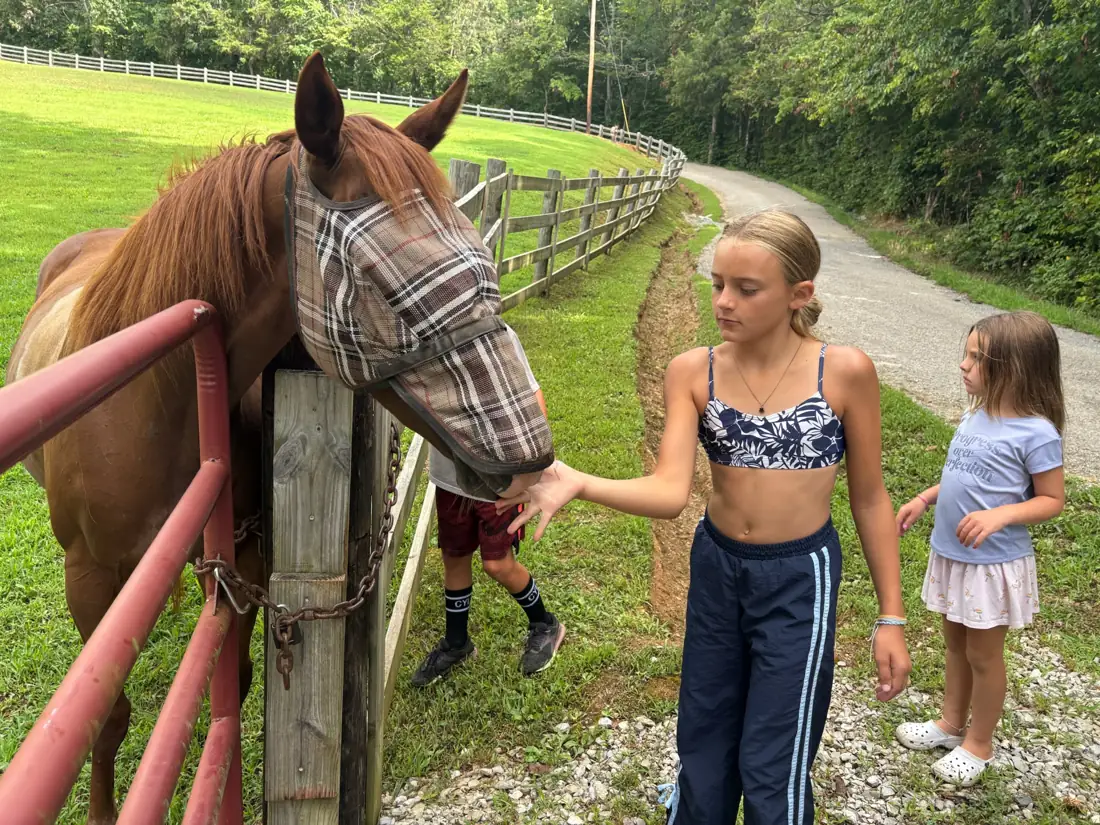 A girl reaching out to a horse in a fly mask over the pasture fence