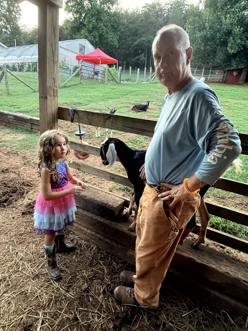 A man and a small girl standing with goats in the barn