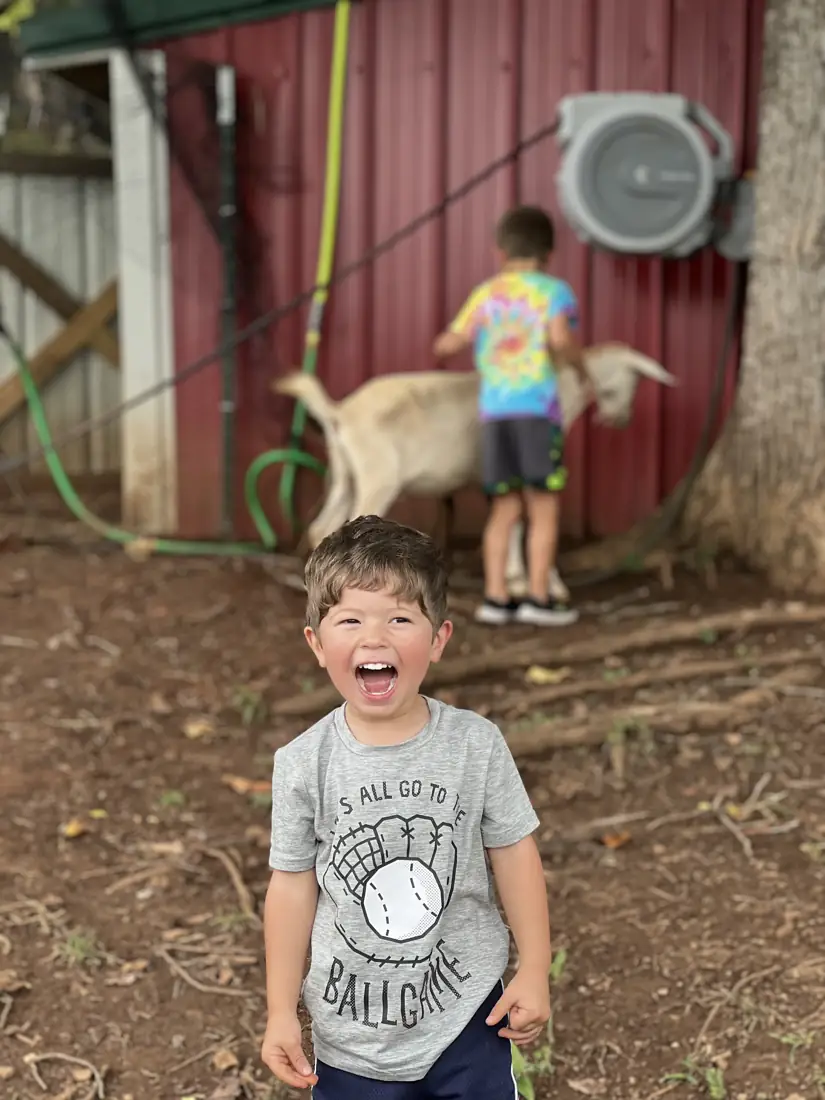 A laughing boy with a goat on the hill behind him