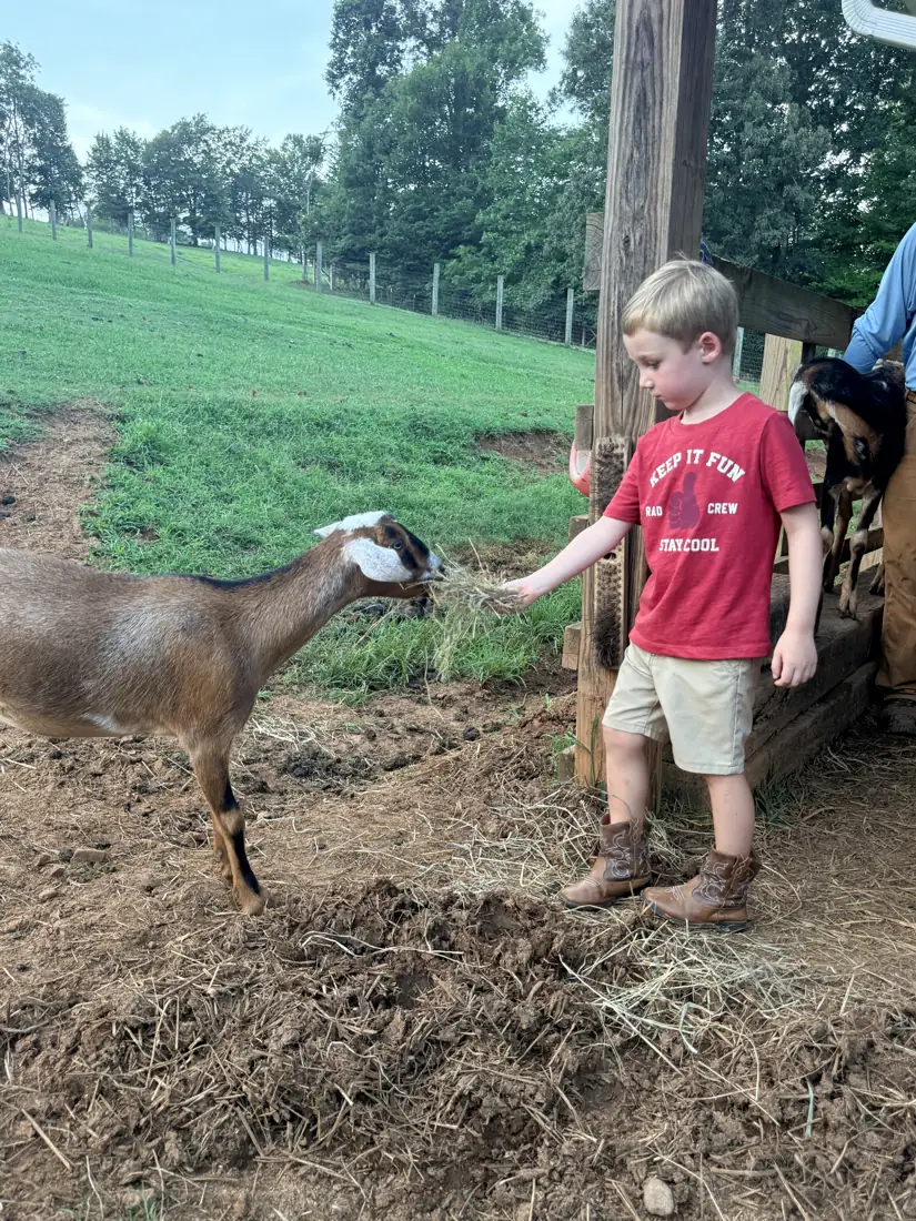 A boy scratching a goat on the hillside