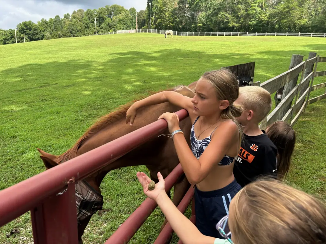 A girl leaning in close to a horse at the fence