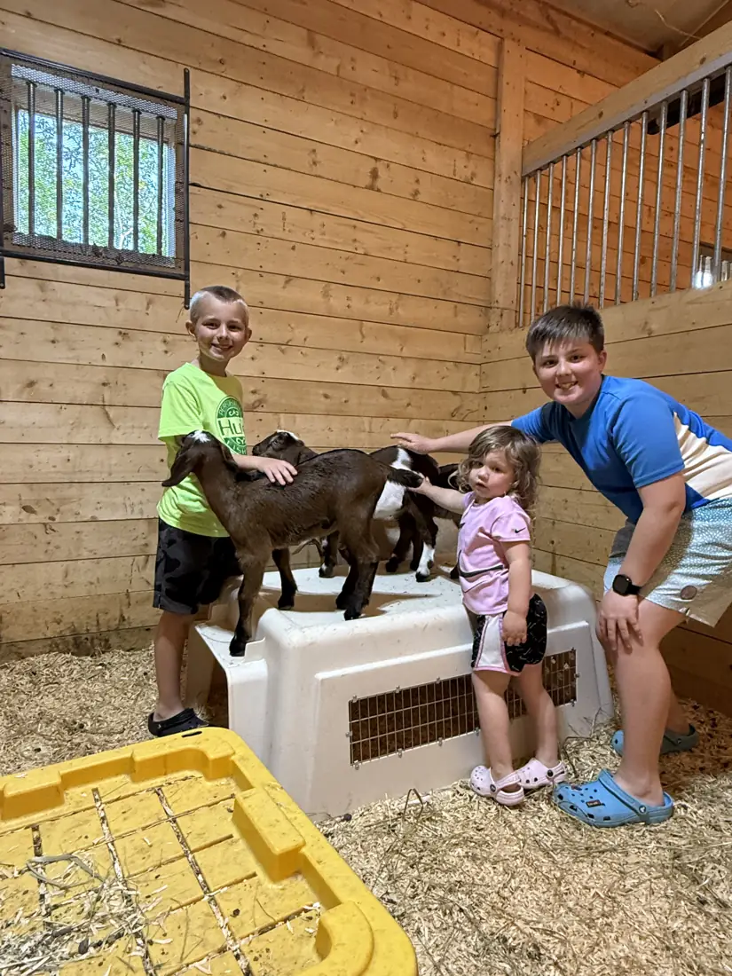 An adult and children holding young goats in the barn