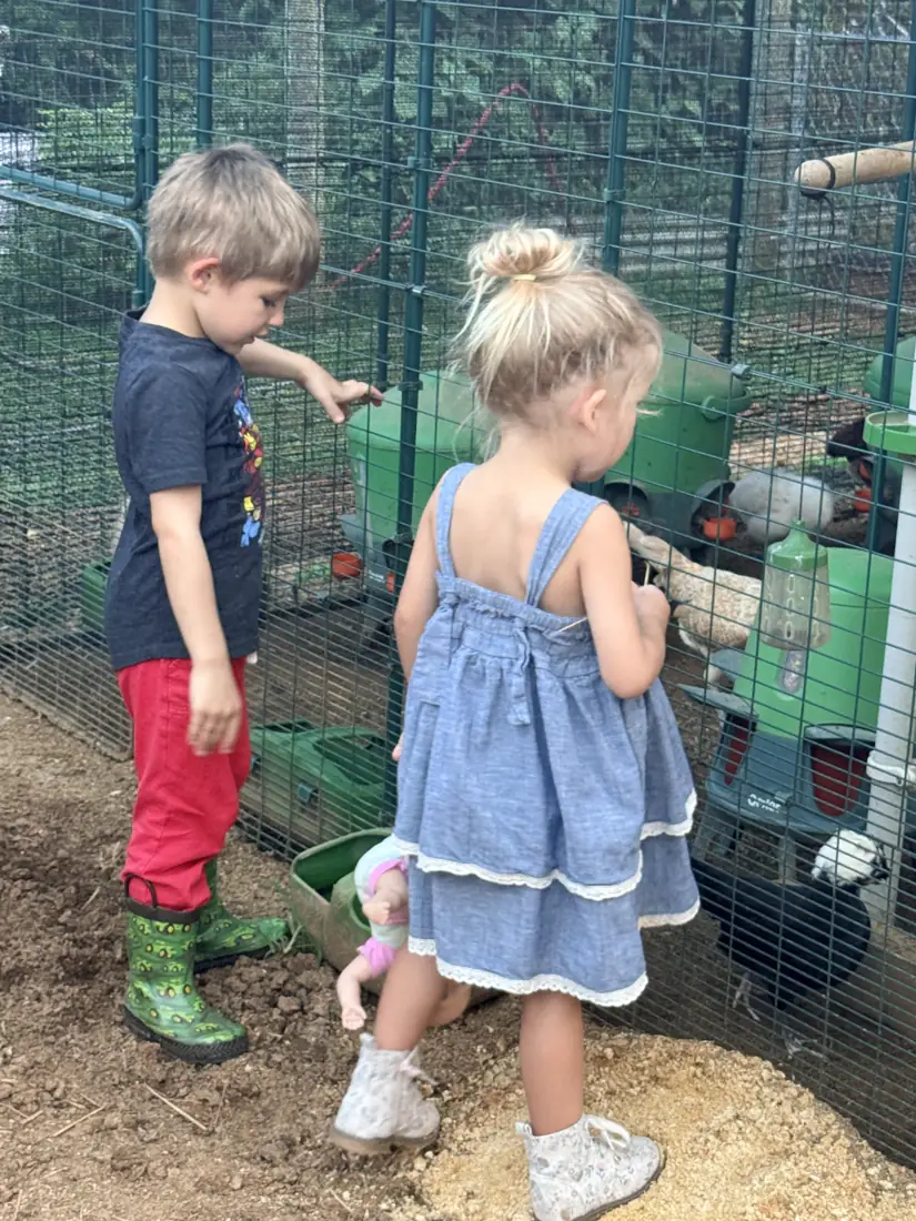 Two toddlers standing at the chicken coop