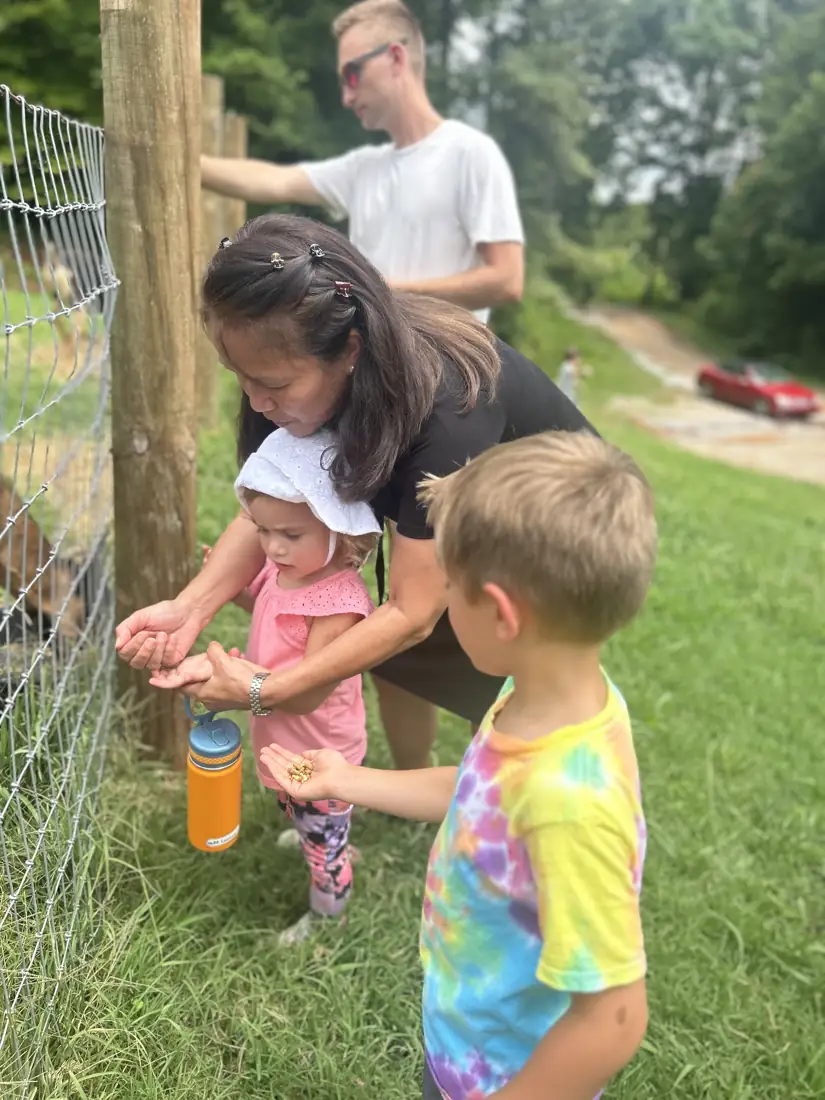 A mother and children at the fence with the goats