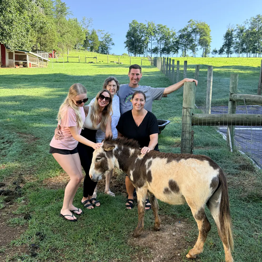 A family posing while a mini donkey walks into the shot