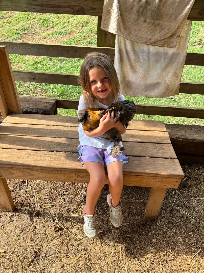 A girl sitting on a bench holding a hen