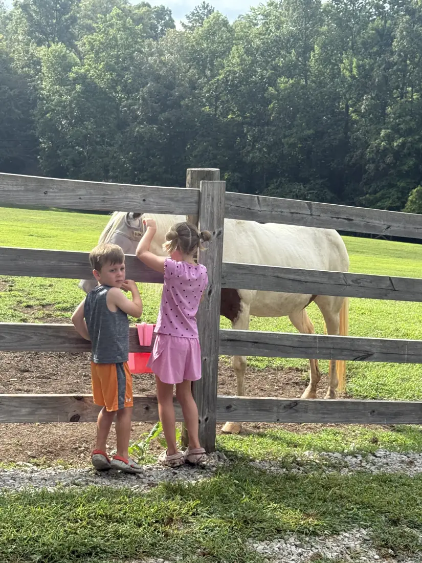 Children petting a horse along the pasture fence