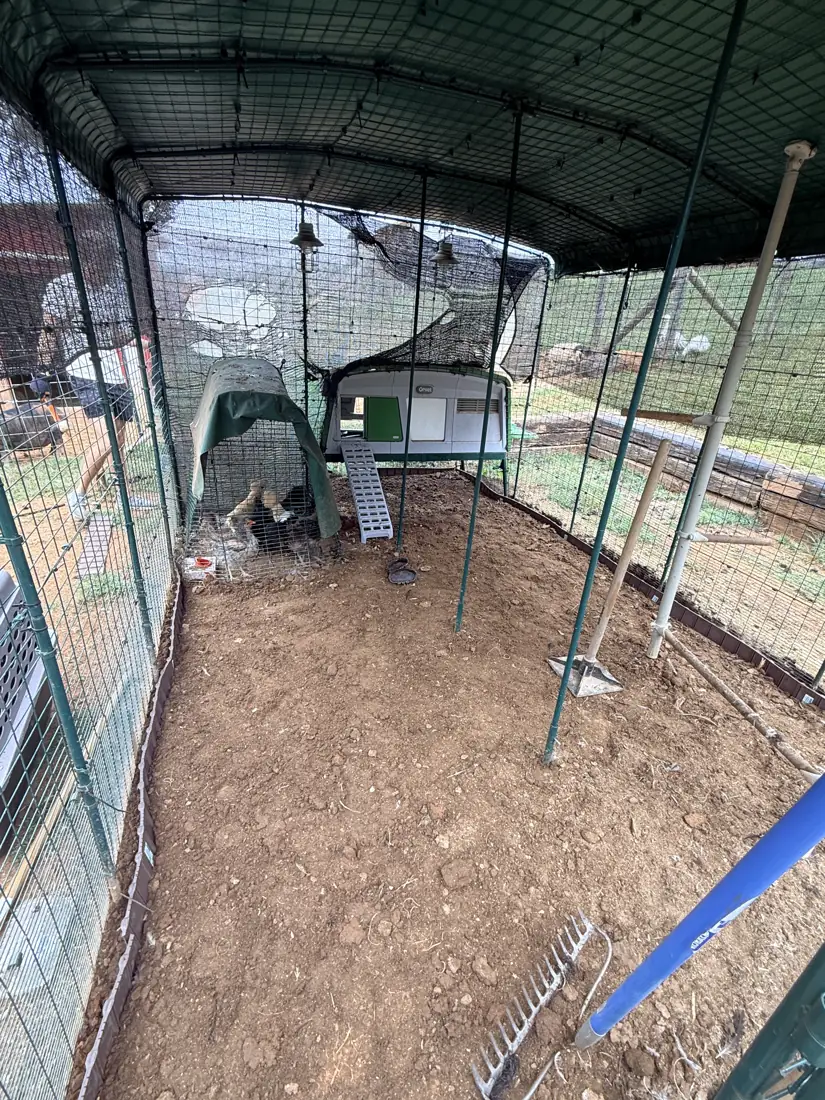 The chicken run graded smooth with a wood border set around the edge, ready for gravel