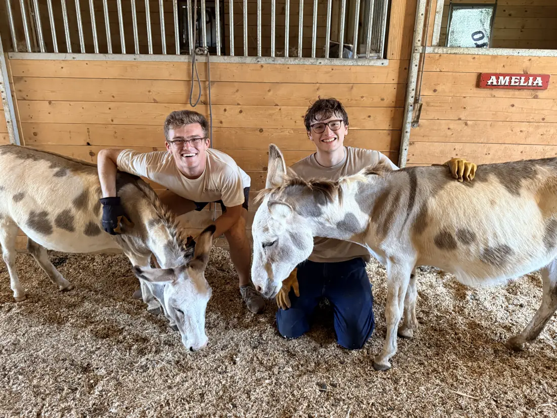 Graham and Clayton kneeling with two mini donkeys in the barn aisle